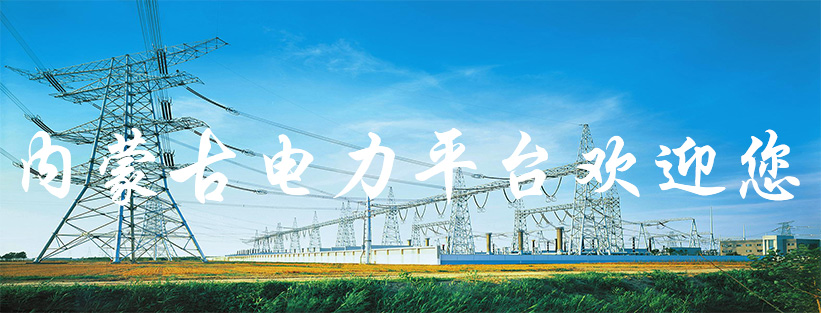 内蒙古电力平台